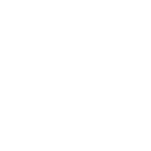 Vegan Dostu